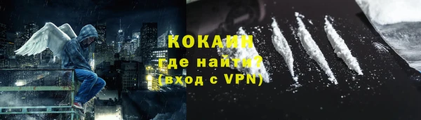 PSILOCYBIN Нязепетровск